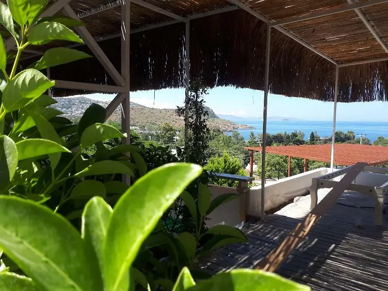 Oza Boutique Hotel Bodrum 4*,  Turkey